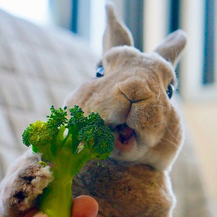 螢幕快照 2018-06-29 上午10.42.05