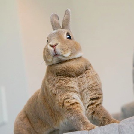 螢幕快照 2018-06-29 上午10.43.32