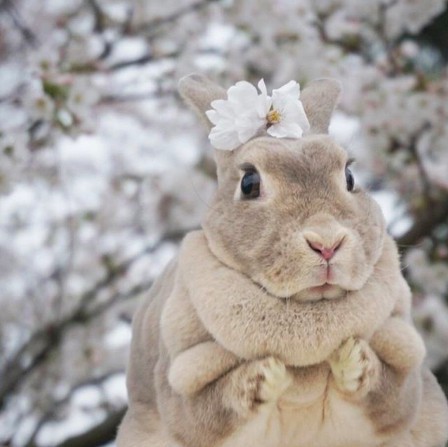 螢幕快照 2018-06-29 上午10.44.44