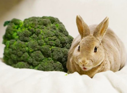 螢幕快照 2018-06-29 上午10.47.36