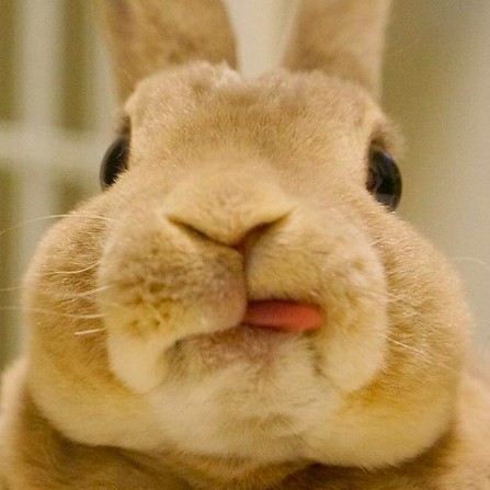 螢幕快照 2018-06-29 上午10.56.36