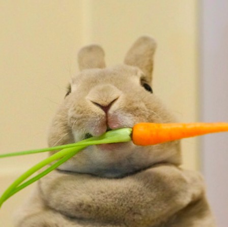 螢幕快照 2018-06-29 上午11.00.29