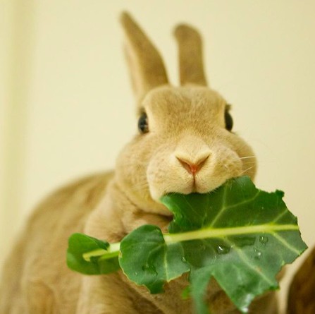 螢幕快照 2018-06-29 上午11.00.37