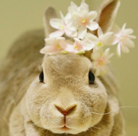 螢幕快照 2018-06-29 上午11.00.48