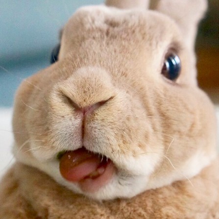 螢幕快照 2018-06-29 上午11.01.52