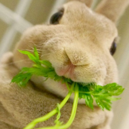 螢幕快照 2018-06-29 上午11.13.07