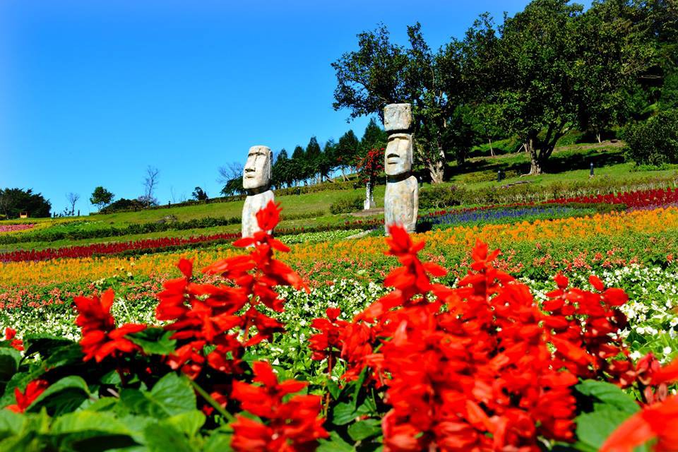 25550599_1623517437710128_1926902103983348529_n