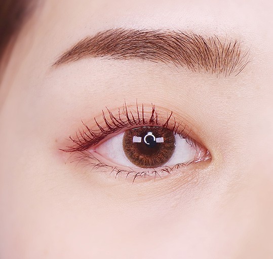 42h4dbqslhgk84cocsks08csspakg0z