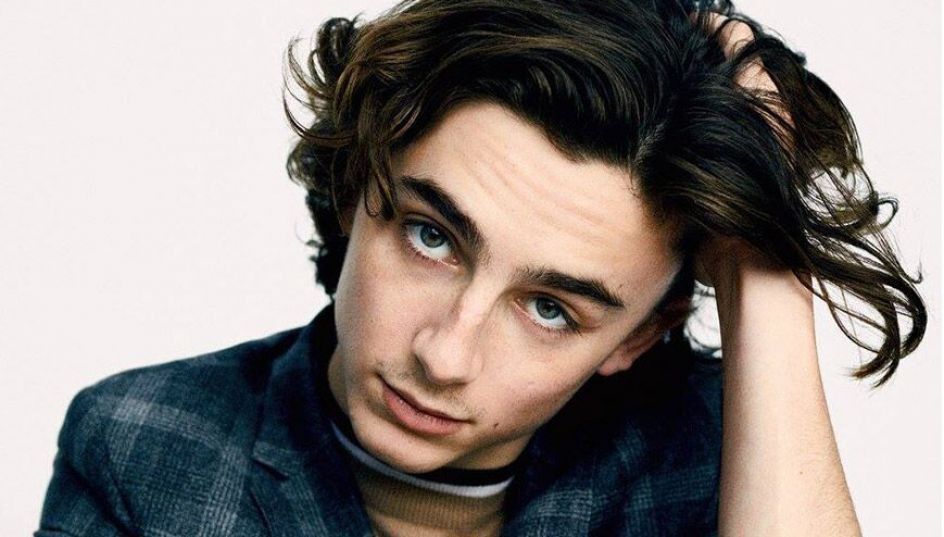 News-Features-031318-TimotheeChalametHair-Facebook-OfficialPageCallMeByYourName_preview-870x537