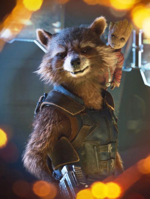 Rocket-Raccoon-Vest