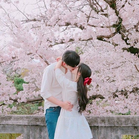 a6f62b7b75af233ee161d23134c35f44