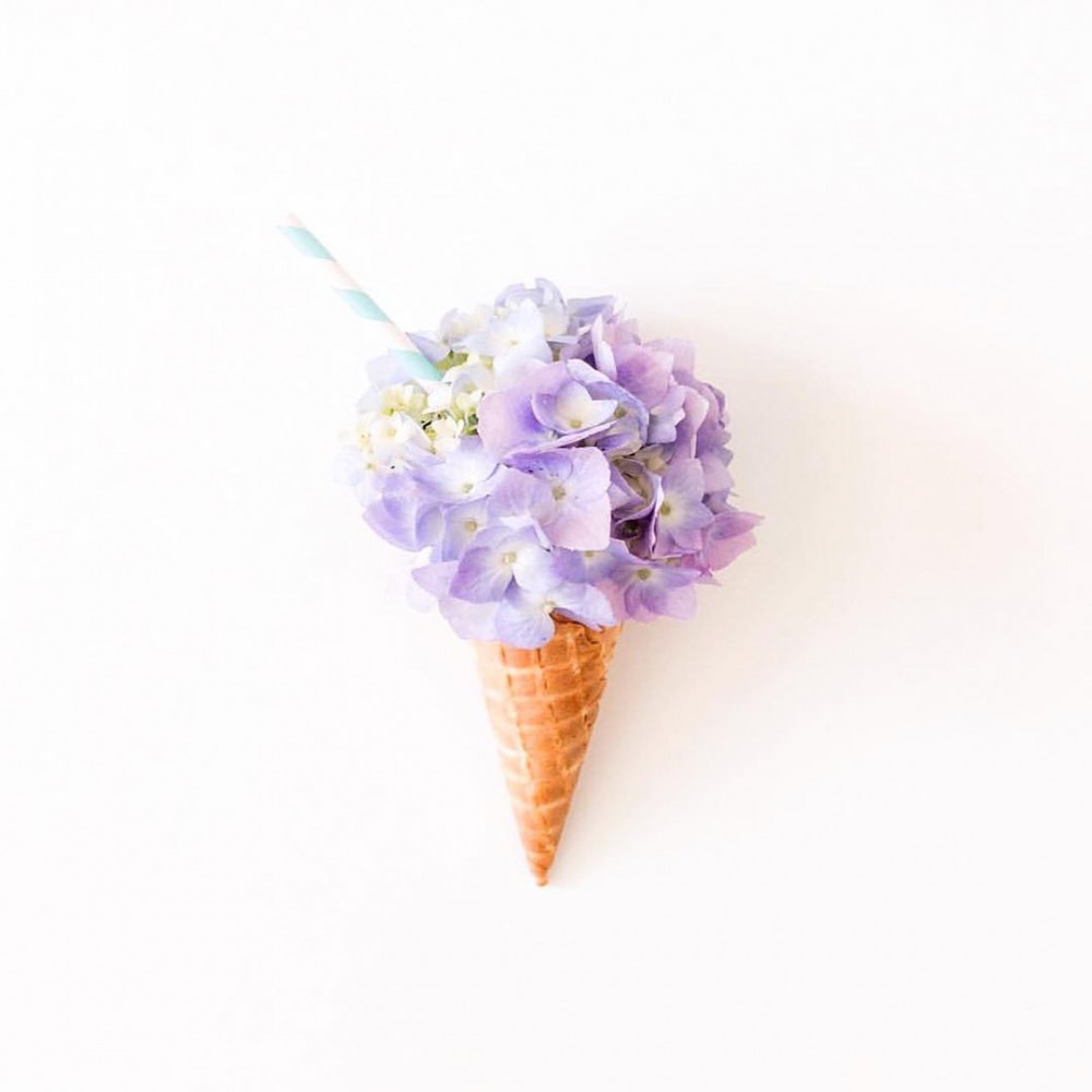 ack_bos_18253243_1041070796037602_8140542083531276288_n