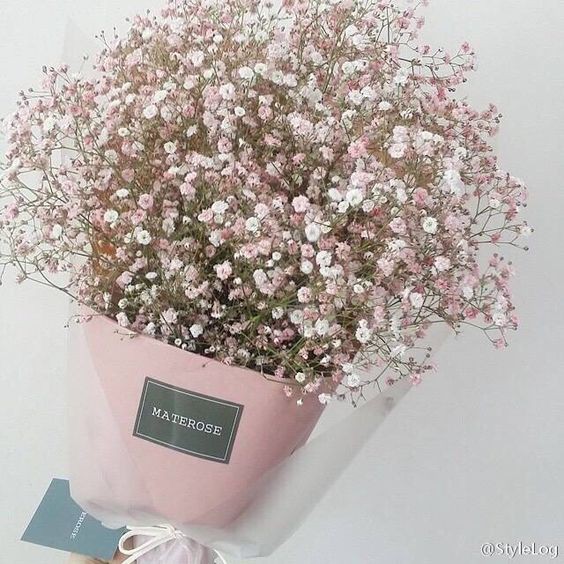 be44e7e0df936edfe742b6a66048f5a3