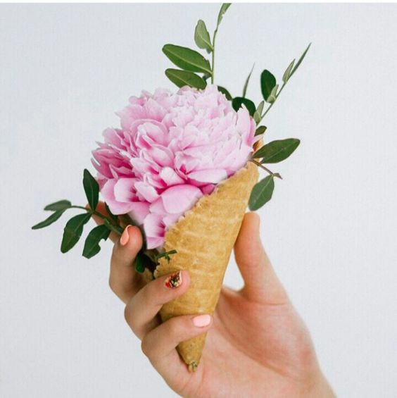 d068ddd95bb7f4d766f32926a7a77046