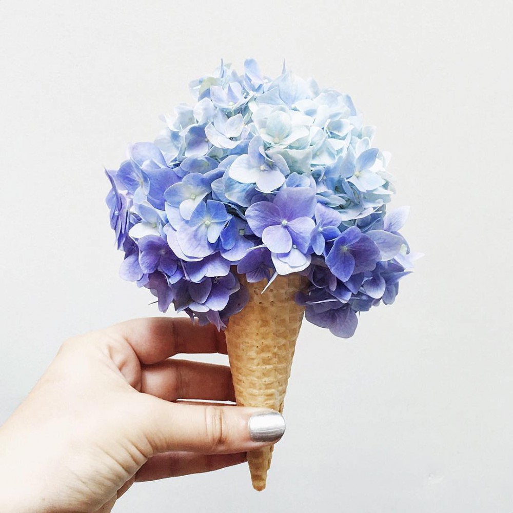 hppyflwrs_12338686_406864869507018_1737658829_n