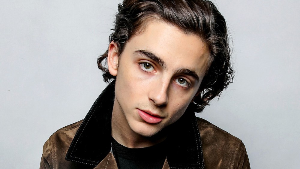 timothee-chalamet-cover-hair