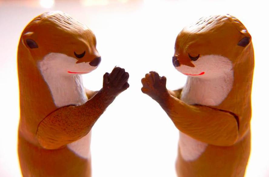 螢幕快照 2018-07-13 上午11.43.20