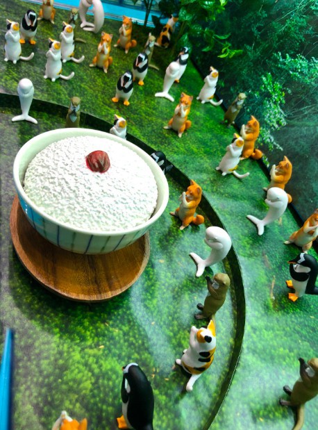 螢幕快照 2018-07-13 上午11.45.12