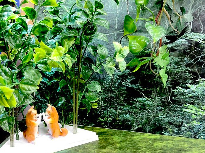 螢幕快照 2018-07-13 上午11.45.22