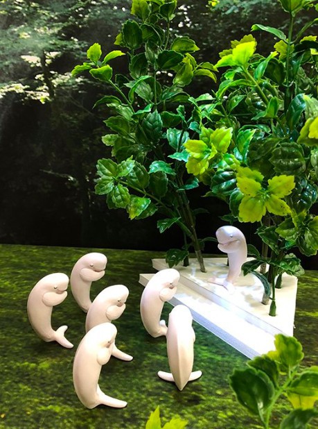 螢幕快照 2018-07-13 上午11.45.28