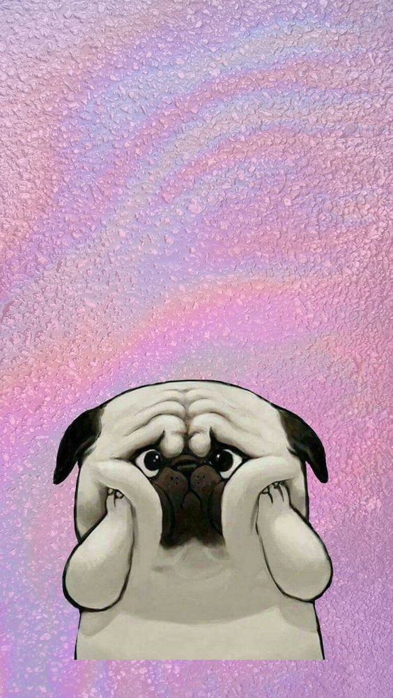 06d10d9522399608f65ca82b99fc2c9b