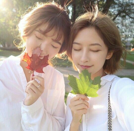 0aaf8ffc608b43f2041feca33e0961ce