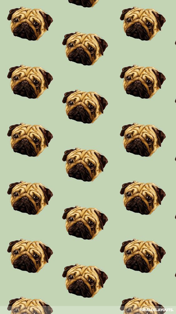 1d13fefad6928374e76b6e6414ff58f1