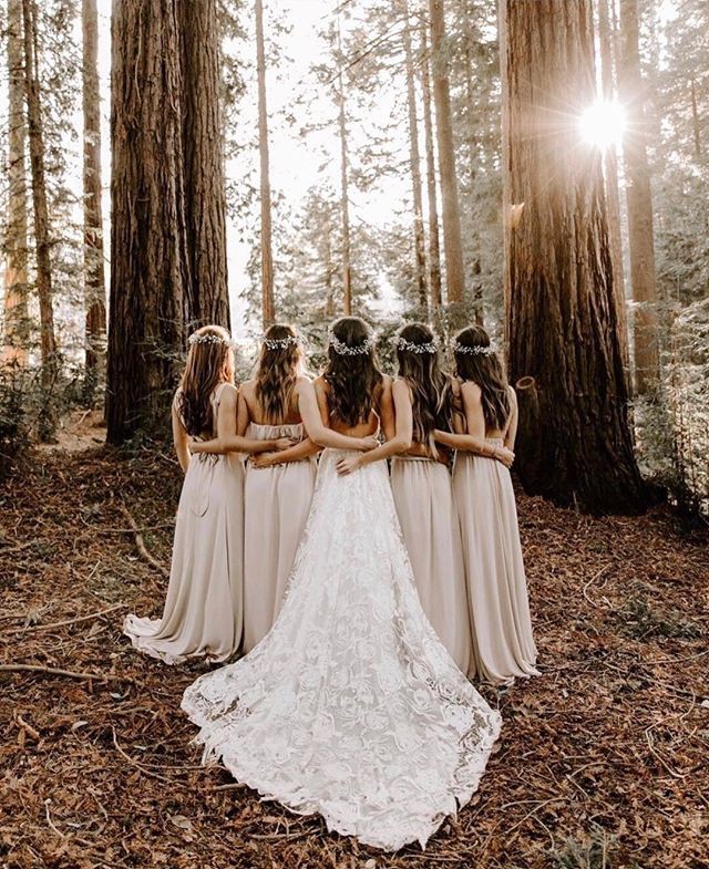 30603337_357505531405003_5152184060373630976_n