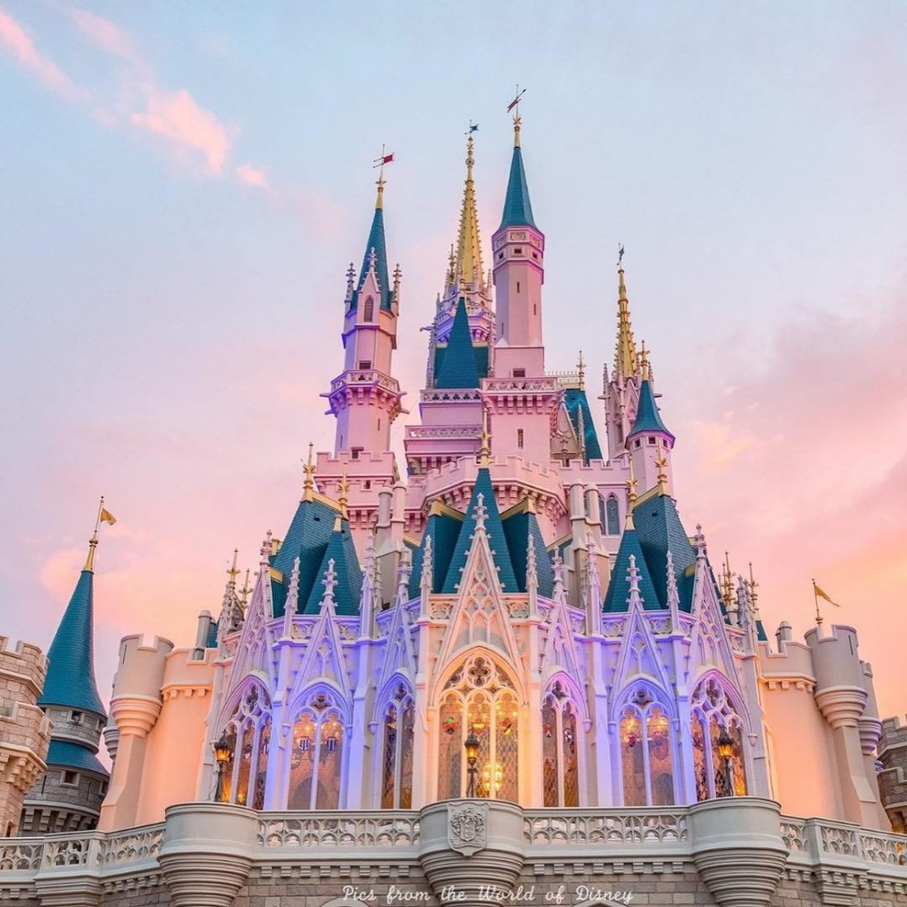 34921352_347738115757814_5925932009410002944_n