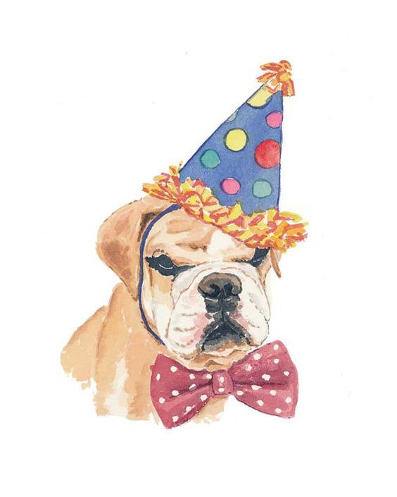 3e887836b2558bd4bff3919bb6da8251