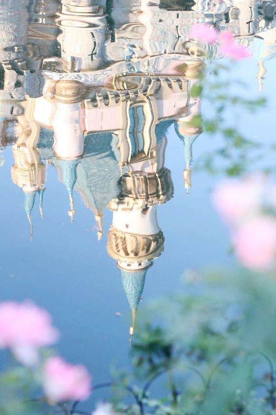 53bfb14d56b1668b9bb3b2476e2b23f6