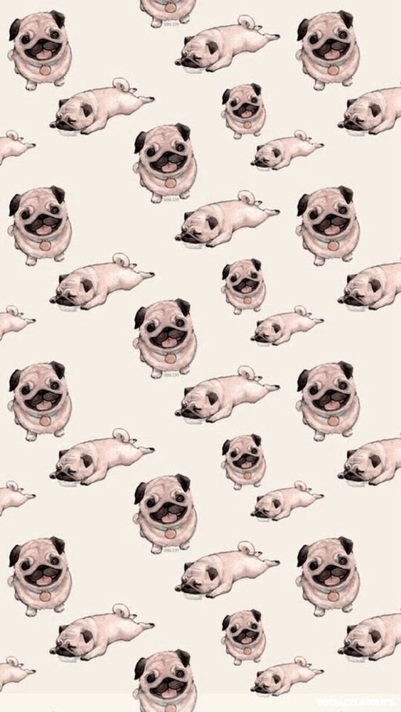 71b89196f4b3a50fad25d208affe643c