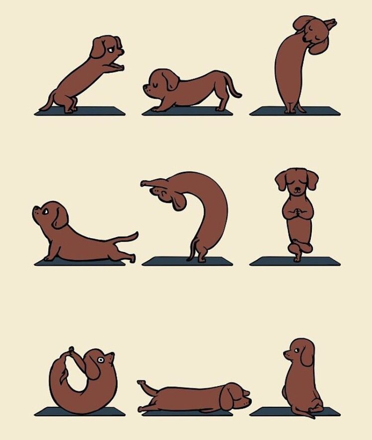 81d0880c5ce3688212420eaef1734e62