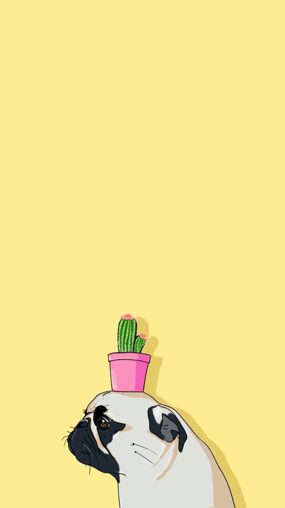 9585e4b10f3596959a48ab1e04dc2727