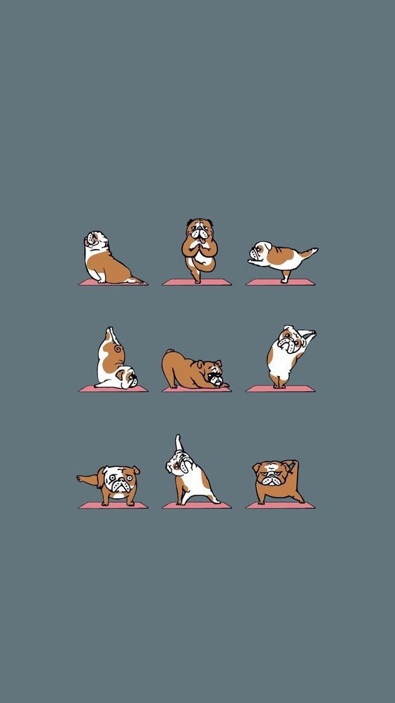 c8d000cc5eb0648d521e4ff78d46c8fd