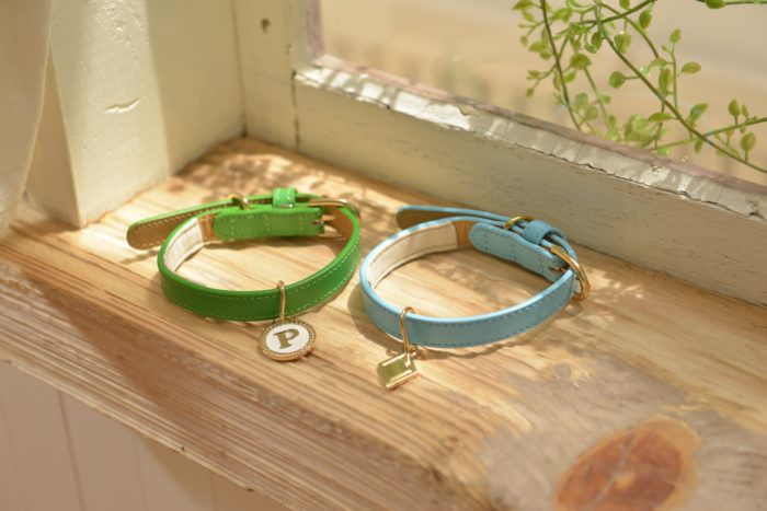 disney-pet-collar-lady-pluto-700x467