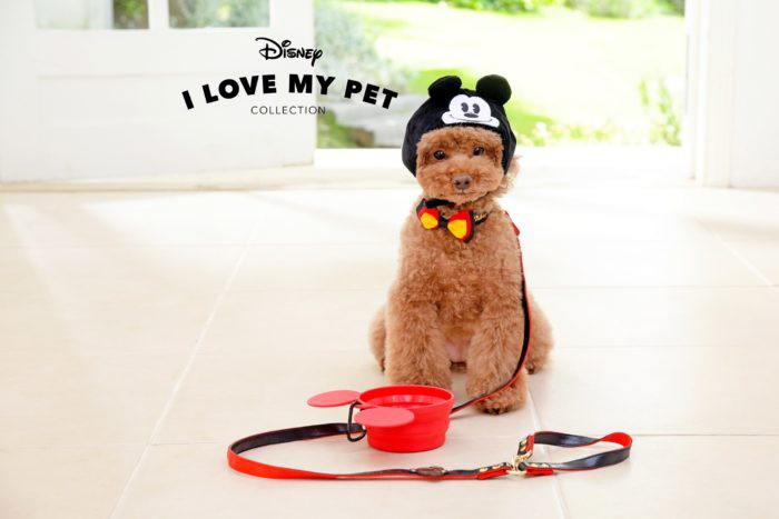 disney-pet-goods-700x467