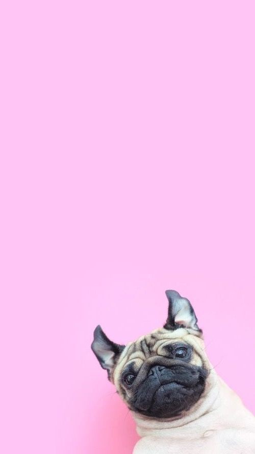 eeea9f45245a85569e9086e0489e78e4