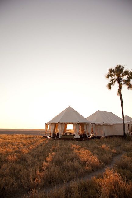 f68bf9e90753898e65a3cf9f69e4dc62