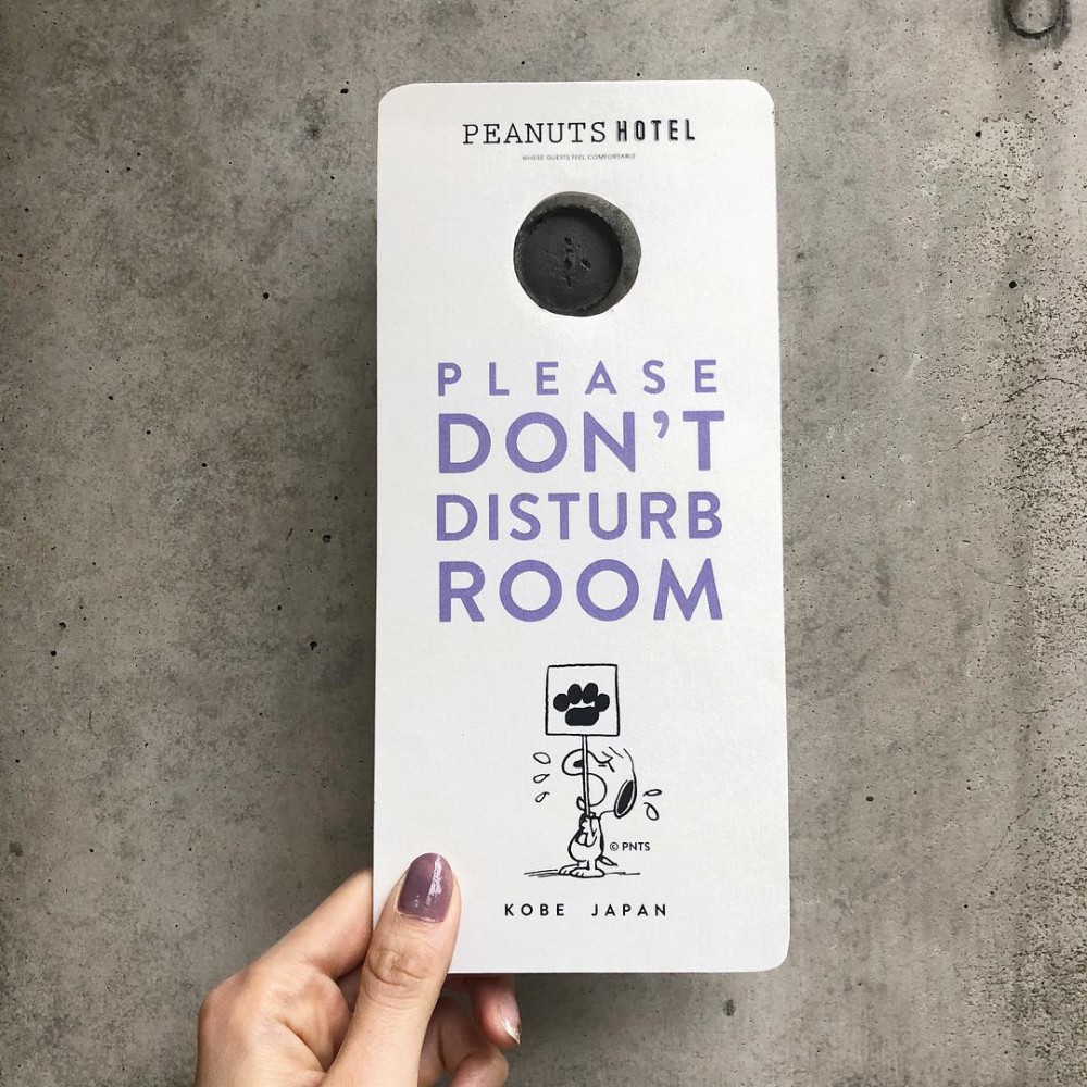 peanutshotel_31163034_242860766279603_7261669767633698816_n