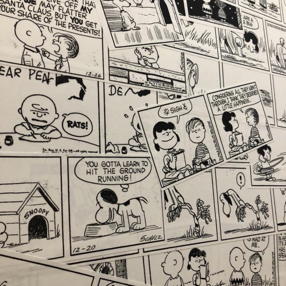 peanutshotel_32933163_767752260281822_3750095791935455232_n