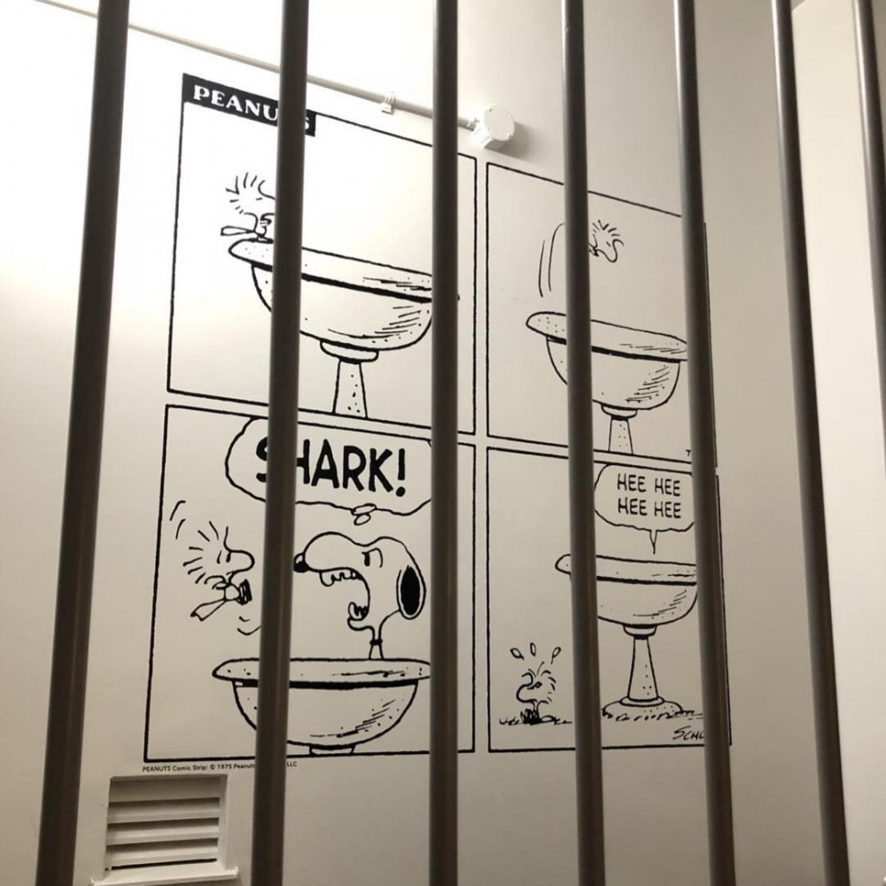 peanutshotel_34651834_178652569640531_9098915781676105728_n