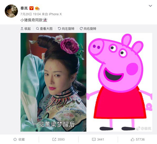 螢幕快照 2018-08-06 下午5.49.24