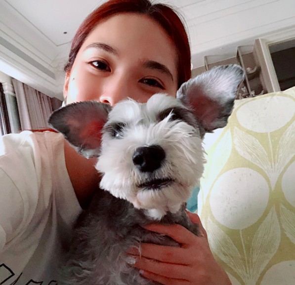 螢幕快照 2018-08-07 上午10.49.52