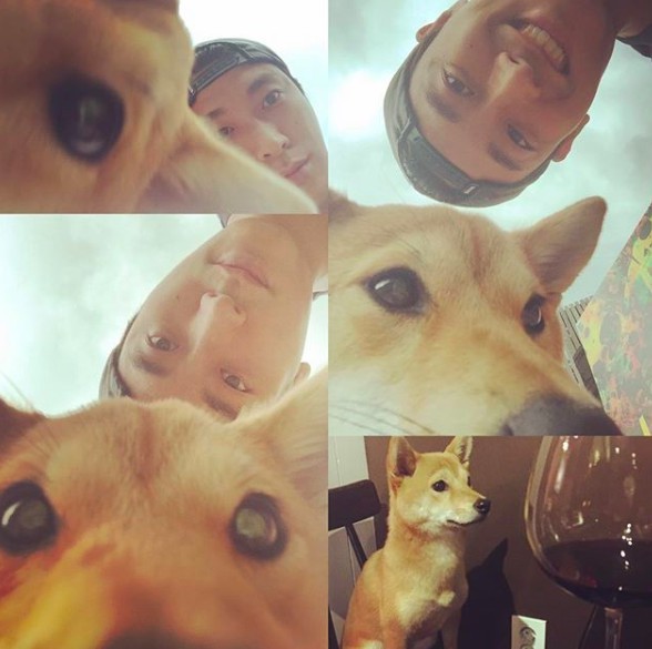 螢幕快照 2018-08-23 上午11.22.21