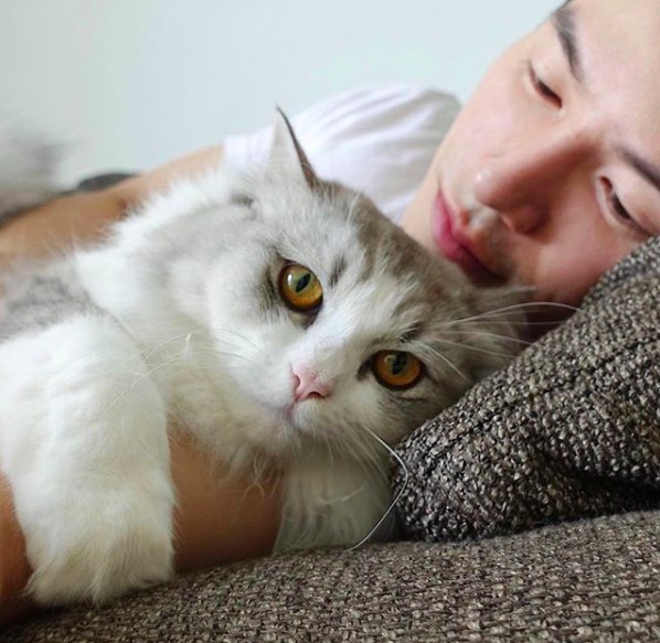 螢幕快照 2018-08-31 下午5.42.25