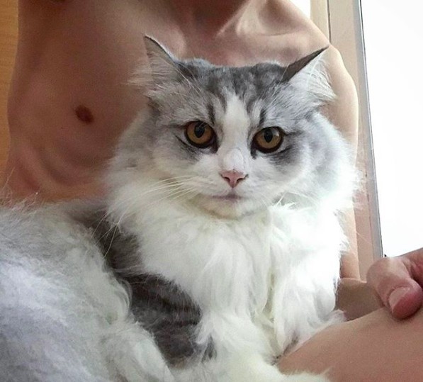 螢幕快照 2018-08-31 下午5.44.46