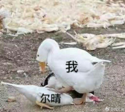 00794nRnly1ftyxeehyknj30p00me77k