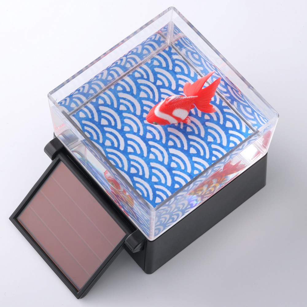 4904790522284_348a18e657cc495588ac50861cc8c76d