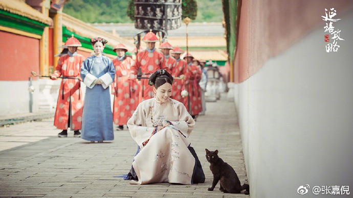 49de723aly1ftjtbjgdfrj20p00e2jvu